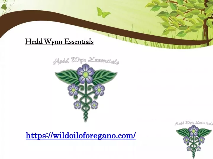 hedd wynn essentials