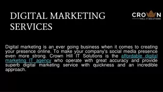 Top Professional Digital Marketing IT Company - Crown Hill IT Solutions