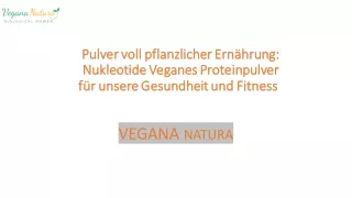 Pulver voll pflanzlicher Ernährung Nukleotide Veganes Proteinpulver für unsere Gesundheit und Fitness