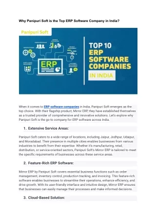 Why Panipuri Soft is the Top ERP Software Company in India