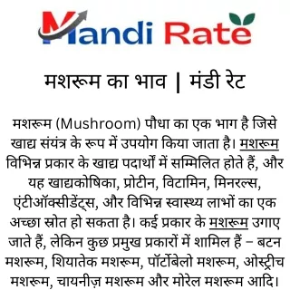 मशरूम का भाव - मंडी रेट