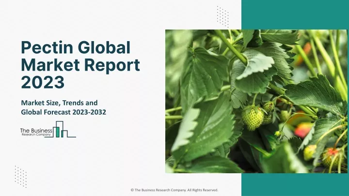 pectin global market report 2023