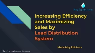 Increasing Efficiency and Maximizing Sales by  Lead Distribution System - Pingtree Systems