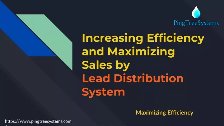 increasing efficiency and maximizing sales by lead distribution system