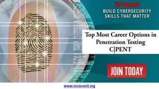 top most career options in penetration testing