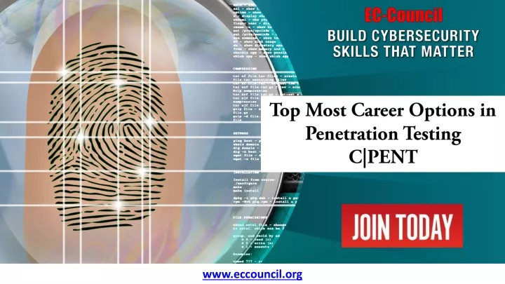 top most career options in penetration testing