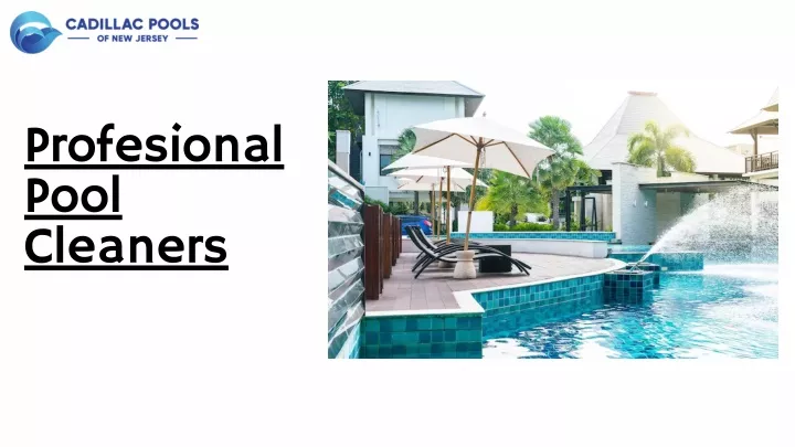 profesional pool cleaners