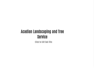 Acadian Landscaping and Tree Service