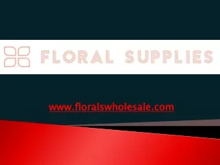 Wholesale Dried Flower Shop for Bulk Orders & Affordable Prices - Floral Supplies