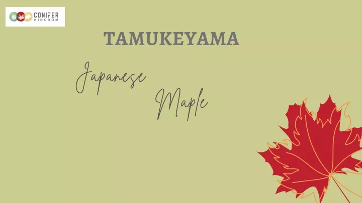 tamukeyama