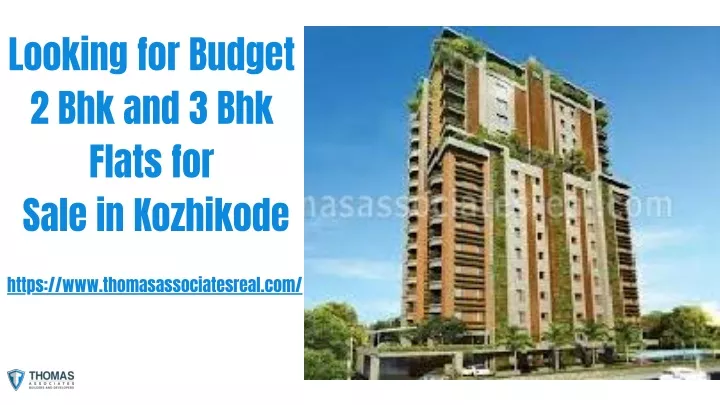 looking for budget 2 bhk and 3 bhk flats for sale