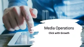 Simplify Your Media Operations with Lyxel&Flamingo's Expert Services