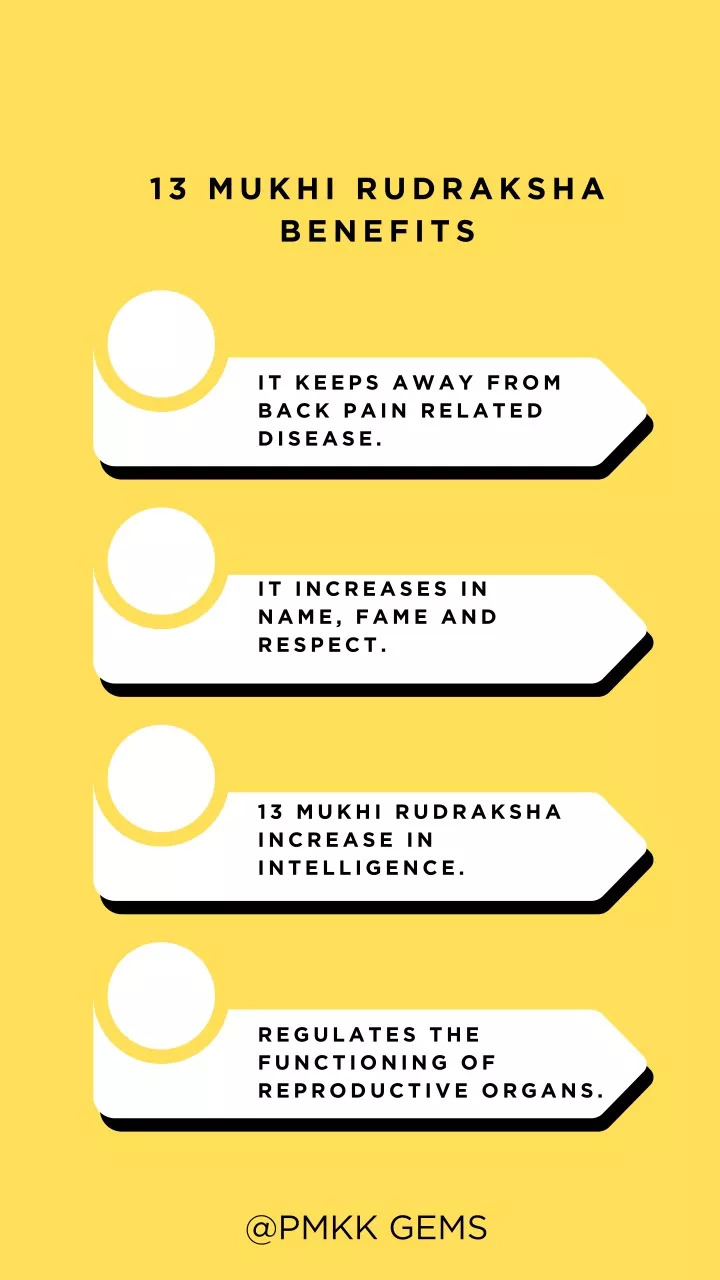 13 mukhi rudraksha benefits