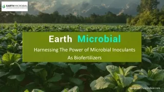 Harnessing the Power of Microbial Inoculants as Biofertilizers | Earth Microbial