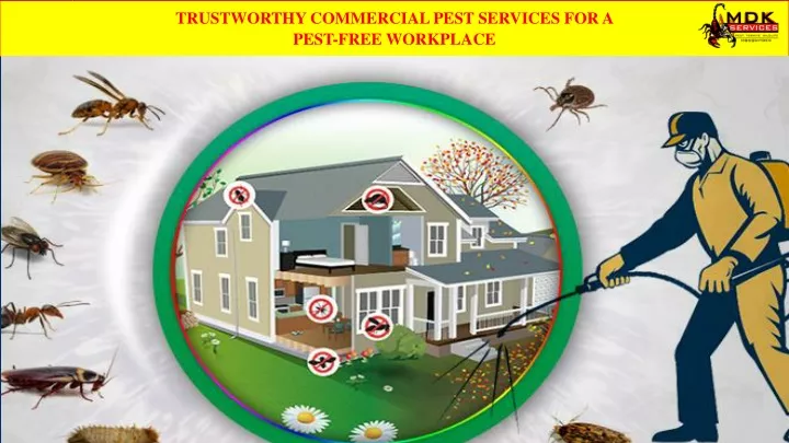 trustworthy commercial pest services for a pest