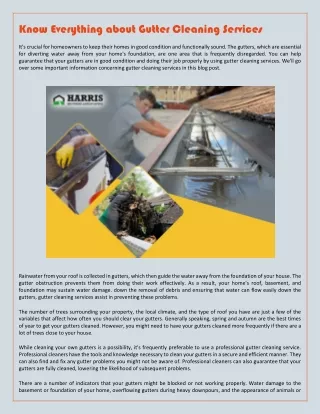 know everything about gutter cleaning services