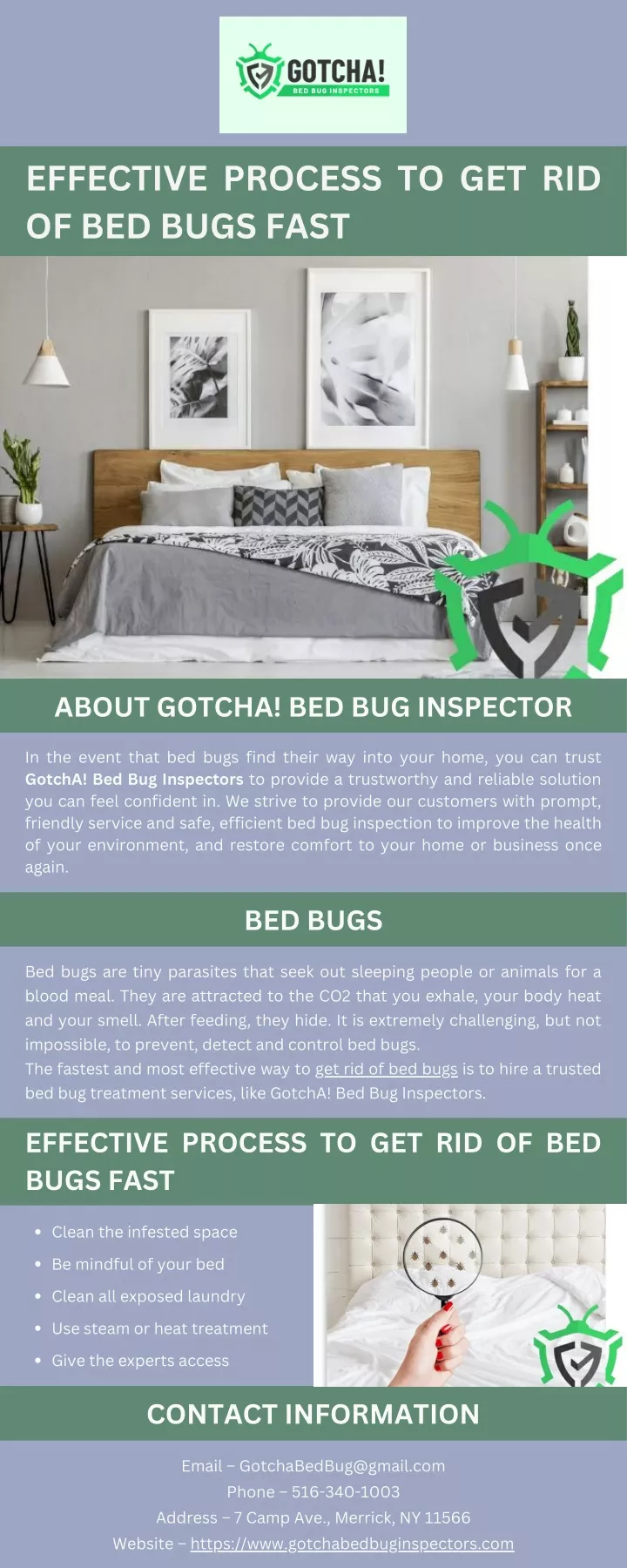effective process to get rid of bed bugs fast