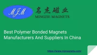 Top Quality Polymer-Bonded Magnets Produced by MJ Magnets in China
