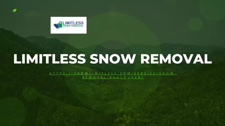 limitless snow removal