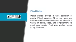 Pitbull Bullies Pitbullbullies.com
