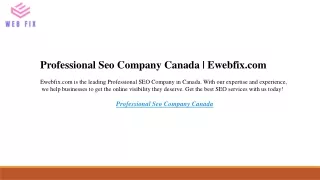 Professional Seo Company Canada  Ewebfix.com