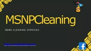 msnpcleaning
