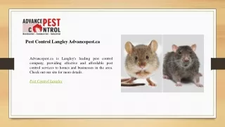 pest control langley advancepest ca