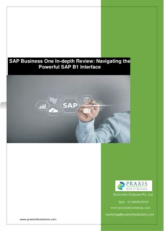 sap business one in depth review navigating