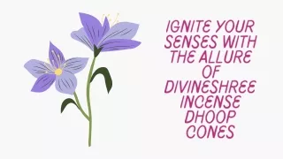 ignite your senses with the allure of divineshree