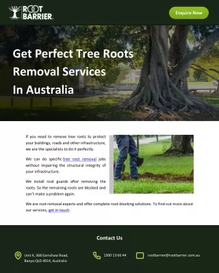 Get Perfect Tree Roots Removal Services In Australia
