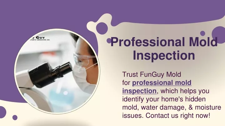 professional mold inspection