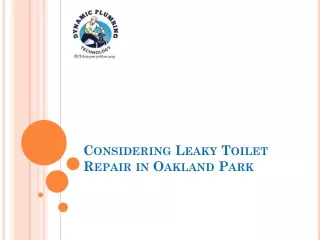 Considering Leaky Toilet Repair in Oakland Park