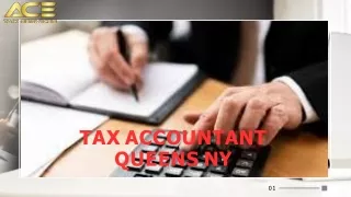 Ace Tax Services - Raj Tax Services