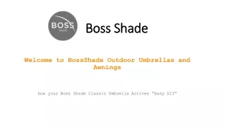 Electric folding arm awnings | Boss Shade