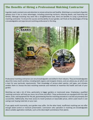 the benefits of hiring a professional mulching