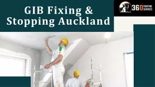 Fast and Effective GIB Fixing & Stopping Services