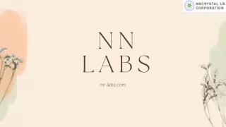NN-Labs#3