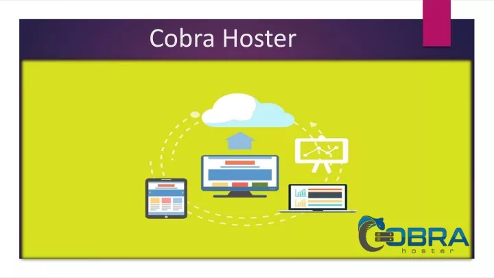 cobra hoster