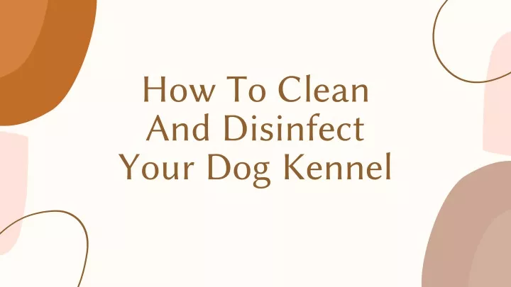 how to clean and disinfect your dog kennel