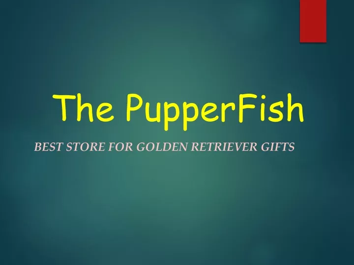 best store for golden retriever gifts