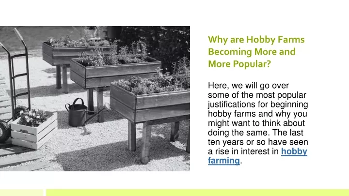 why are hobby farms becoming more and more popular