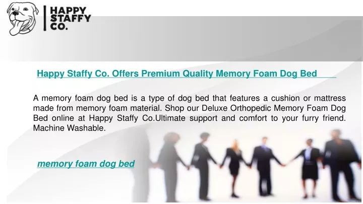 happy staffy co offers premium quality memory