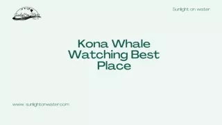 Sunlightonwater - Best for Kona Whale Watching Best Place