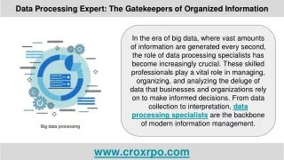 Data Processing Expert: The Gatekeepers of Organized Information