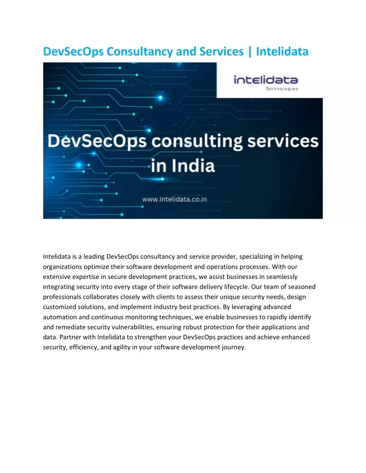 devsecops consultancy and services intelidata