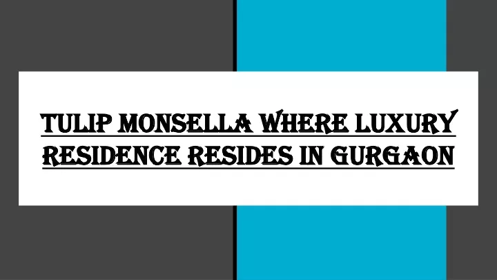 tulip monsella where luxury residence resides in gurgaon