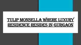Tulip Monsella Where Luxury Residence Resides in Gurgaon