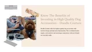 Know The Benefits of Investing in High Quality Dog Accessories - Doodle Couture