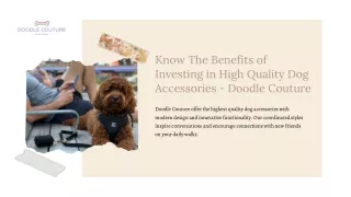 Know The Benefits of Investing in High Quality Dog Accessories - Doodle Couture