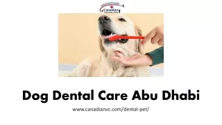 dog dental care abu dhabi